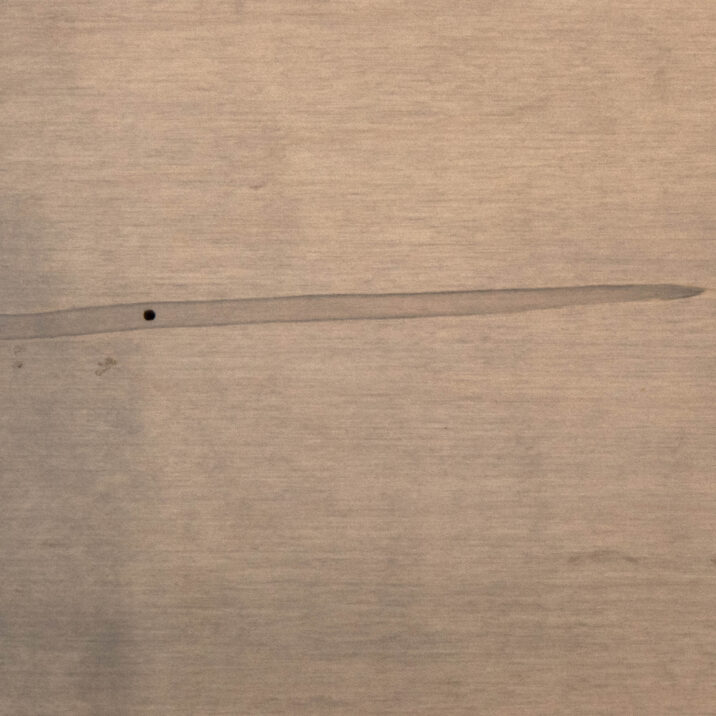 Weathered Timber Light